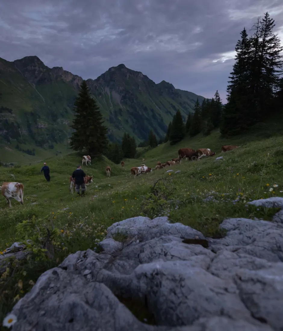 À la frontière franco-suisse